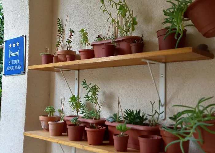 Apartman Elena Split