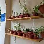 Apartamento Elena Split